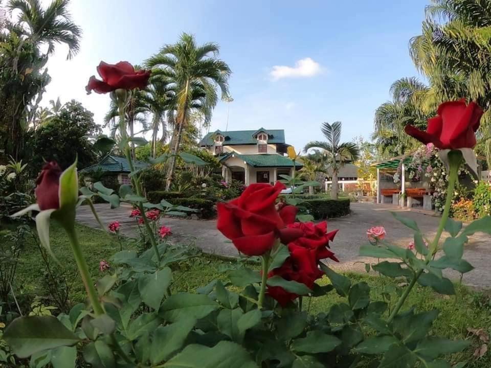 Ekman Garden Resort Sichon Ngoại thất bức ảnh